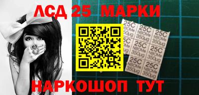 индика Нальчик