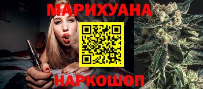 индика Нальчик