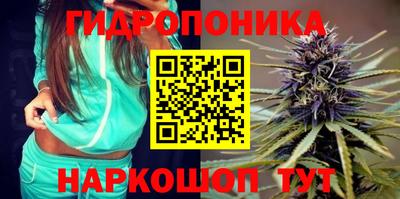 индика Нальчик