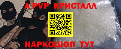 индика Нальчик
