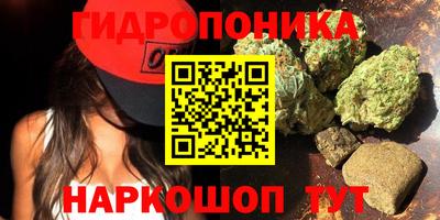 индика Нальчик