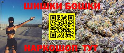 индика Нальчик