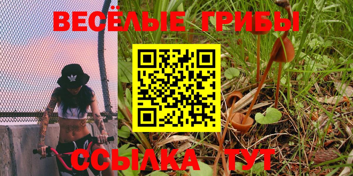 Галлюциногенные грибы GOLDEN TEACHER Стрежевой