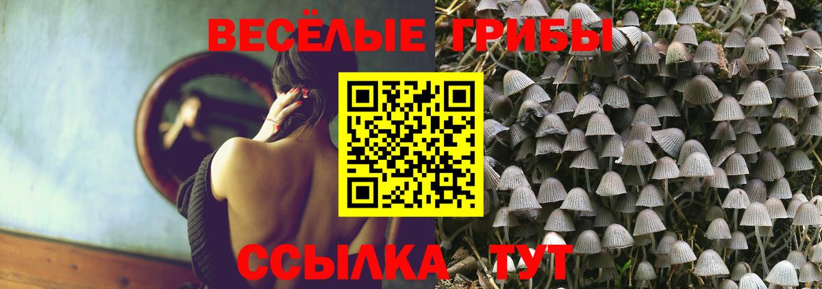 Псилоцибиновые грибы Magic Shrooms  Вход с VPN  Стрежевой 